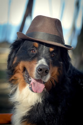 Similar image 21273524