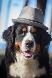 Similar image 21273525