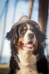 Similar image 21273526