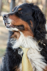 Similar image 21273787