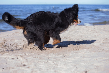 Similar image 21290025