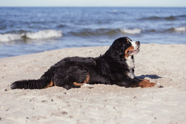 Similar image 21290046