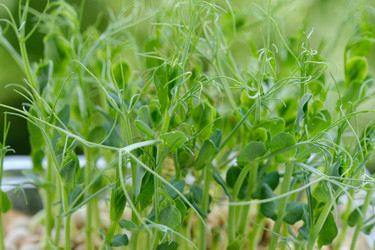 Similar image 21269332