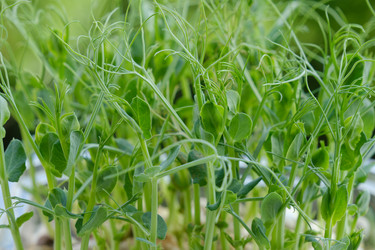 Similar image 21273577