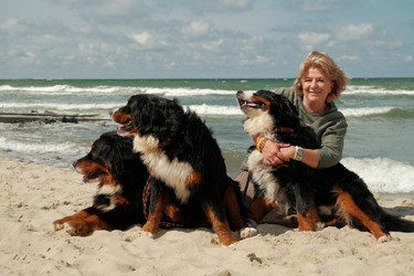 Similar image 21263648