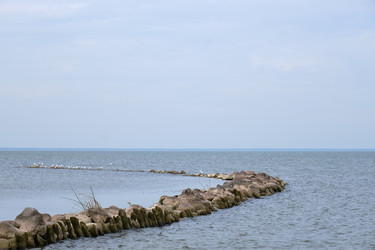 Similar image 21269396