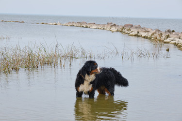 Similar image 21269398