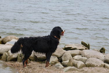 Similar image 21269399