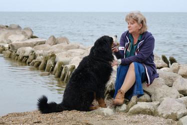 Similar image 21273615