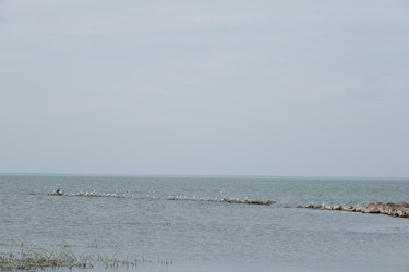 Similar image 21273617