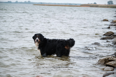 Similar image 21273799