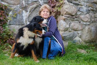 Similar image 21290036