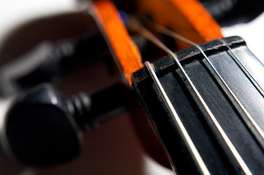 Similar image 21263589