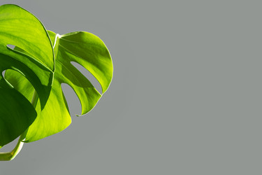 Similar image 21264241