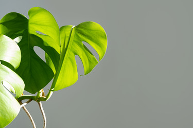 Similar image 21264242