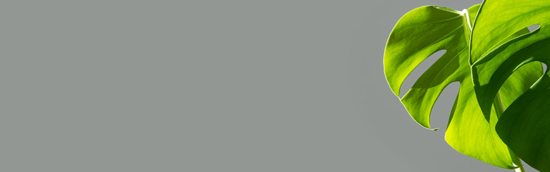 Similar image 21264251