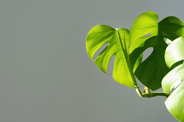 Similar image 21264253