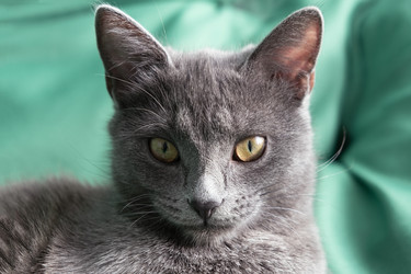 Similar image 21263204