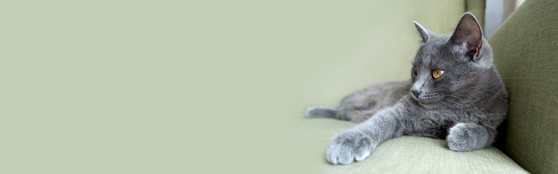 Similar image 21263206