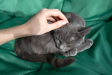 Similar image 21264256