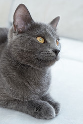 Similar image 21264261