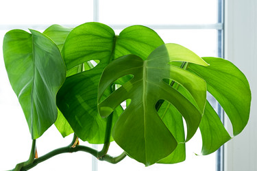 Similar image 21264262