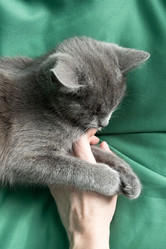 Similar image 21264265