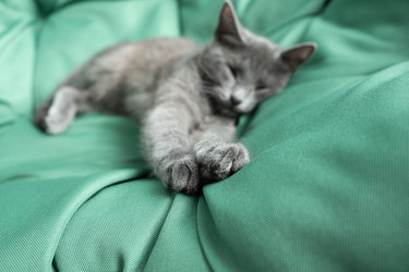 Similar image 21264267