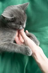 Similar image 21264268