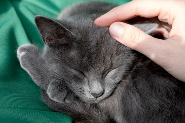 Similar image 21264270