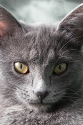 Similar image 21264273