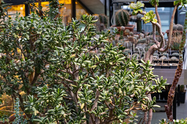 Similar image 21263207