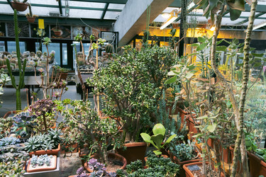 Similar image 21263208