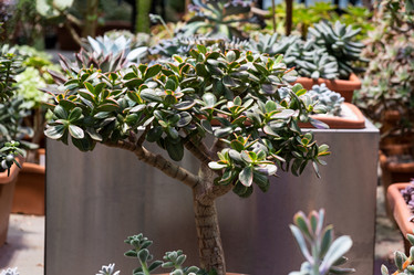 Similar image 21264274