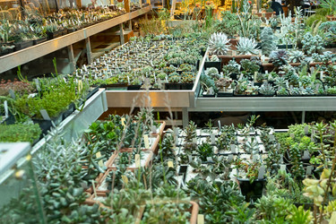 Similar image 21264276