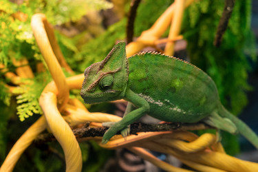 Similar image 21264277