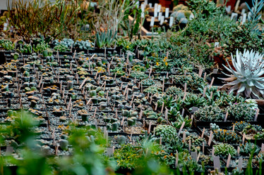 Similar image 21264278