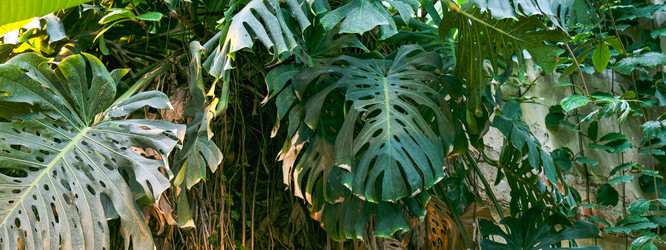 Similar image 21264282