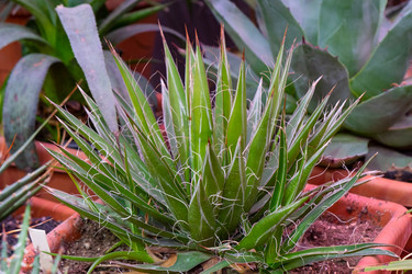 Similar image 21264283