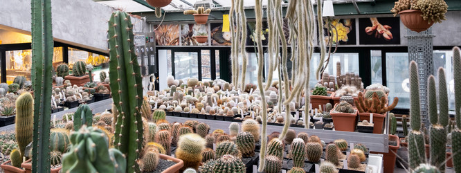 Similar image 21264286