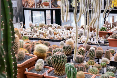 Similar image 21264287