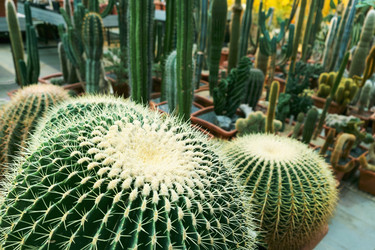 Similar image 21264288