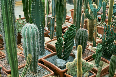 Similar image 21264291