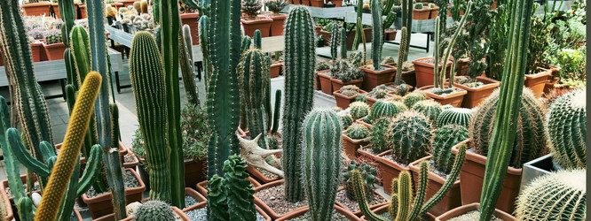 Similar image 21264292