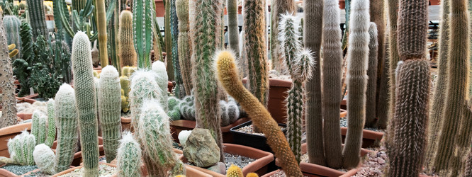 Similar image 21264293