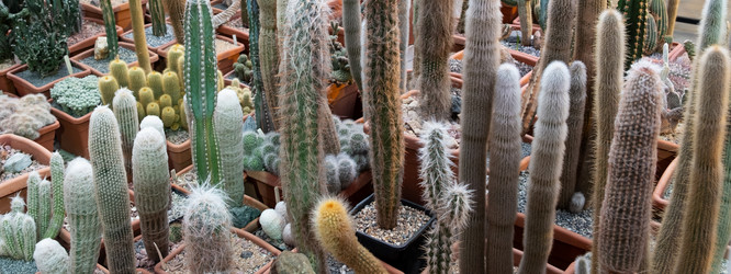 Similar image 21264294