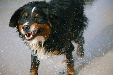 Similar image 21269412