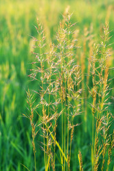 Similar image 21269413