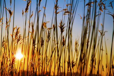 Similar image 21269435