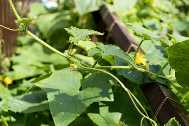 Similar image 21263210